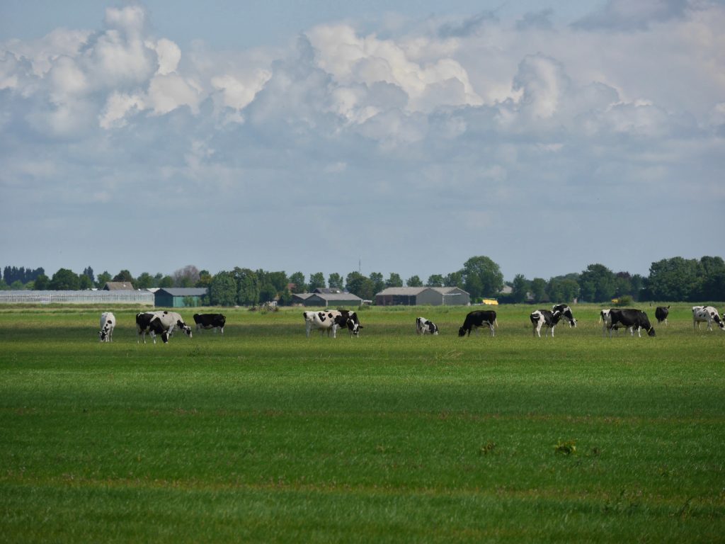 Prettige woonomgeving in Drechterland – Progressief Drechterland