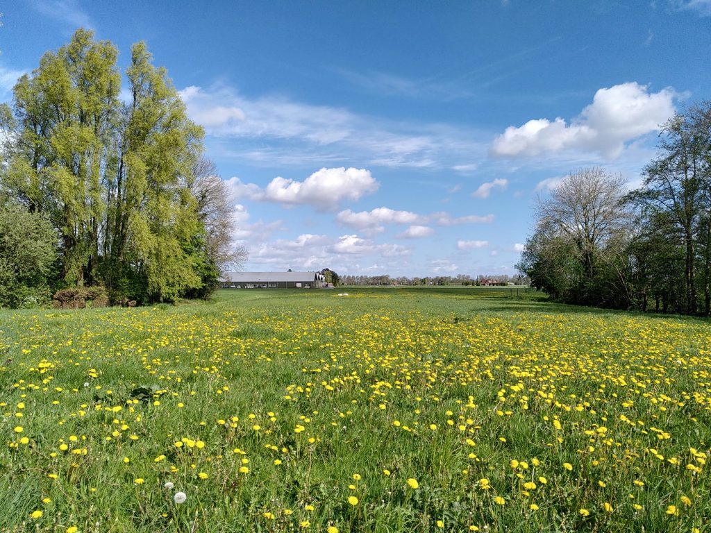 Prettige woonomgeving in Drechterland – Progressief Drechterland